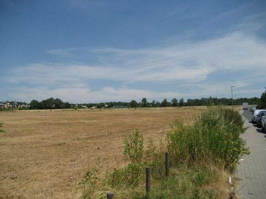 Blick vom Grundstück, Erschließungsstraße in Richt