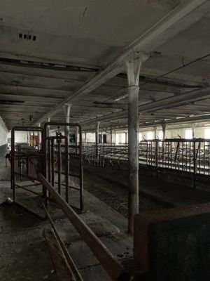 IMG_7506