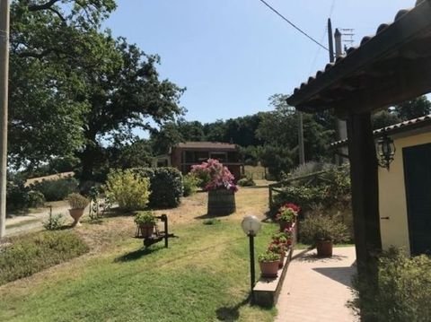 Saturnia Häuser, Saturnia Haus kaufen
