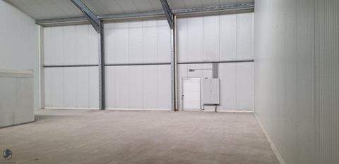 Wulkaprodersdorf Halle, Wulkaprodersdorf Hallenfläche