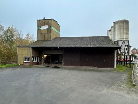 Mücke Halle, Mücke Hallenfläche