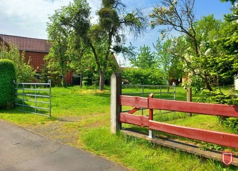 Hannoversch Münden / Hemeln Bauernhöfe, Landwirtschaft, Hannoversch Münden / Hemeln Forstwirtschaft