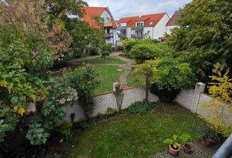 Grünblick vom Balkon