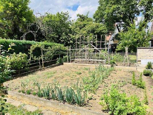 von viel Grün und Sonne umgeben... der Nutzgarten