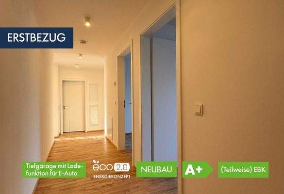 Vermietungs Anzeigen-1