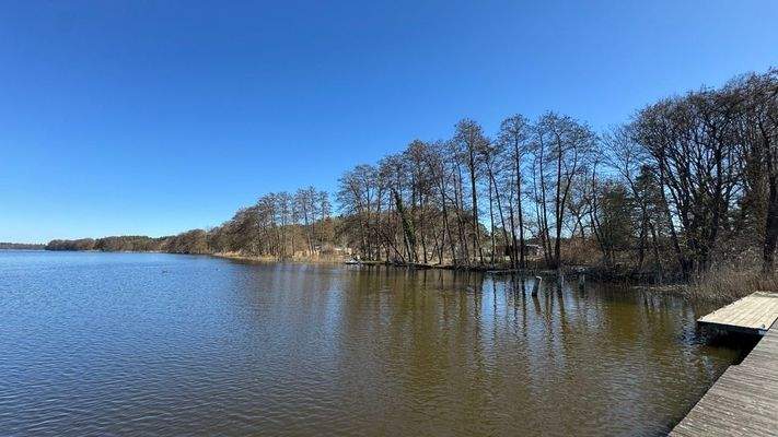 Groß (IMG_6544).jpeg