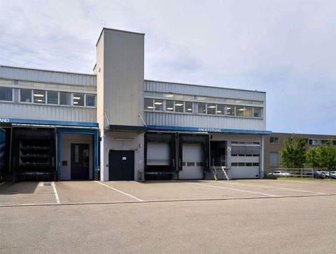 Frickenhausen Halle, Frickenhausen Hallenfläche