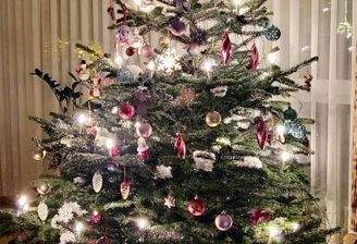 Erleben Sie Weihnachten 2026 im eigenen Haus!