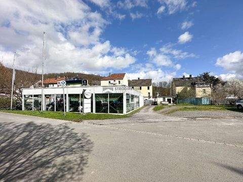 Hagen Halle, Hagen Hallenfläche