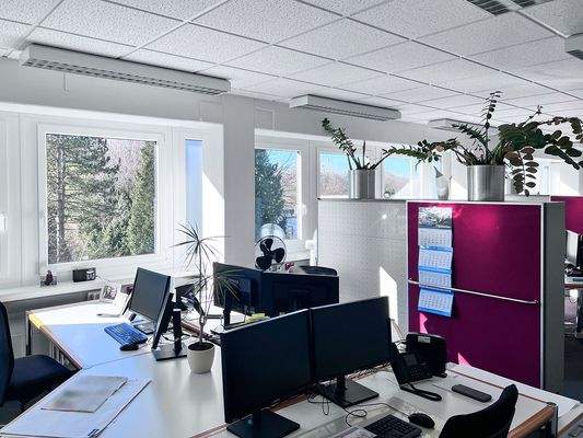 Bürofläche (1. OG)