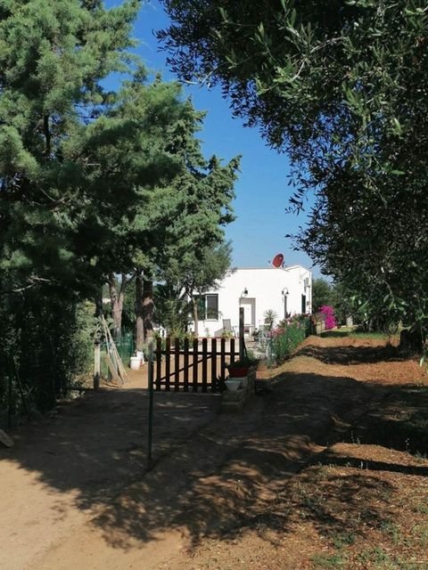 Pisticci Häuser, Pisticci Haus kaufen