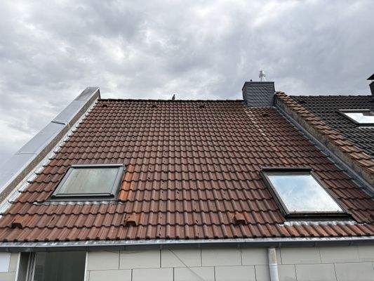 Ansicht Dach Rückseite