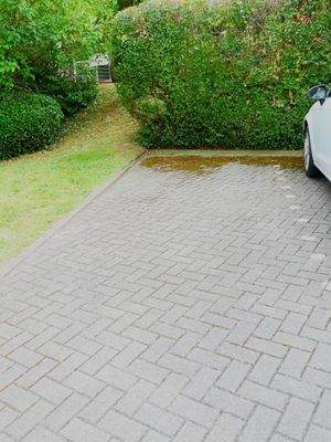 KFZ-Stellplatz hinterm Haus