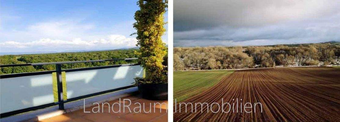 Cuaderno de Venta RCA  by LBM Deutsch Watermarks-3