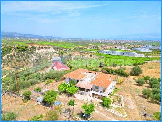 img_331e213f-159f-409b-8ac5-96171d36cd52