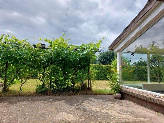 Terrasse mit Weinpflanzen