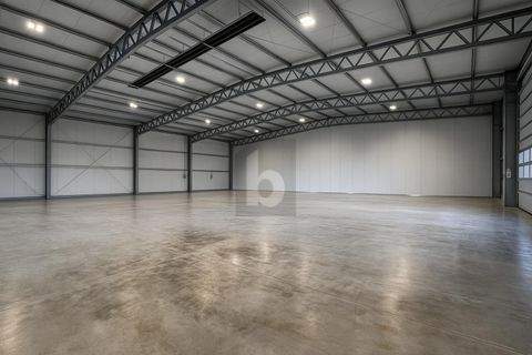 Erkheim Halle, Erkheim Hallenfläche