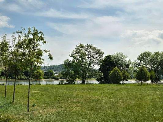 Rhein direkt hinter dem Haus