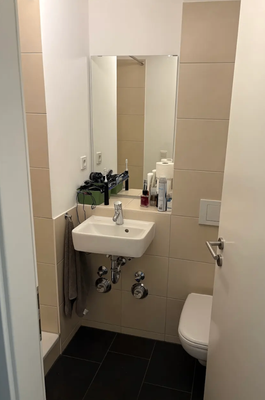 Gäste WC mit Dusche .png