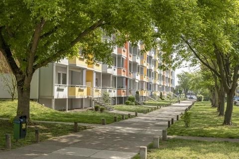 Magdeburg Wohnungen, Magdeburg Wohnung mieten