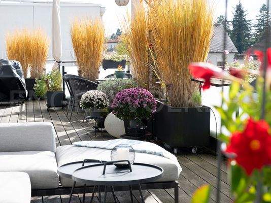 Terrasse Sträucher Blumen