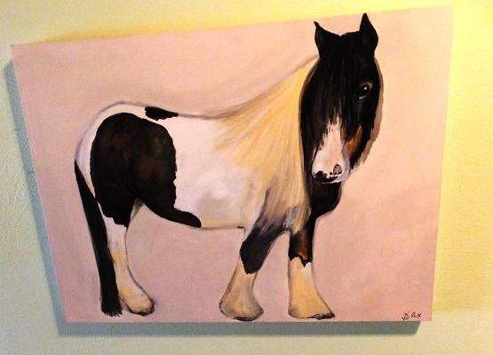 Pferdefreunde aufgepasst