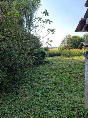 received_661037939533978 (1).jpeg