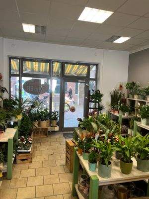 Verkaufsfläche (6).jpg