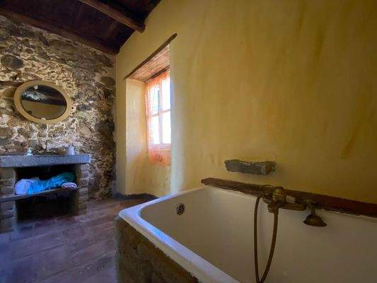 WhatsApp Image 2022-02-27 at 12.13.16.jpeg