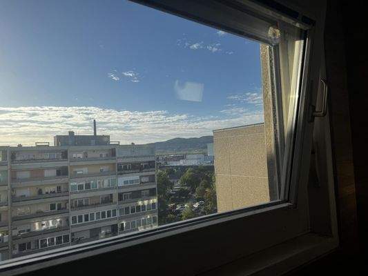 Blick aus dem Küchenfenster