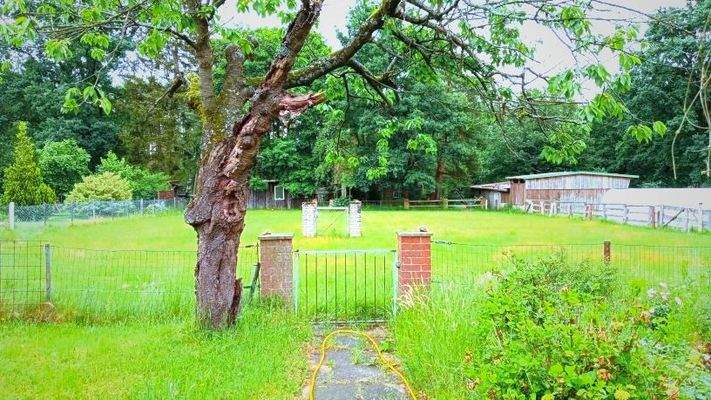 Entfalten Sie Ihre Träume