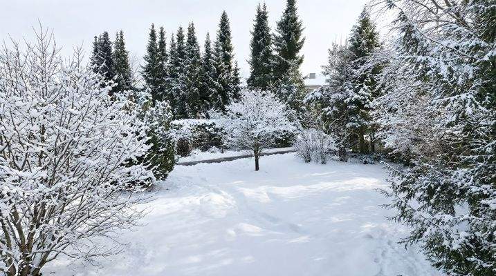 Garten Winter