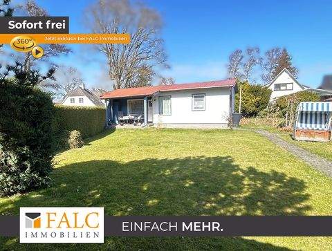 Zingst Häuser, Zingst Haus kaufen