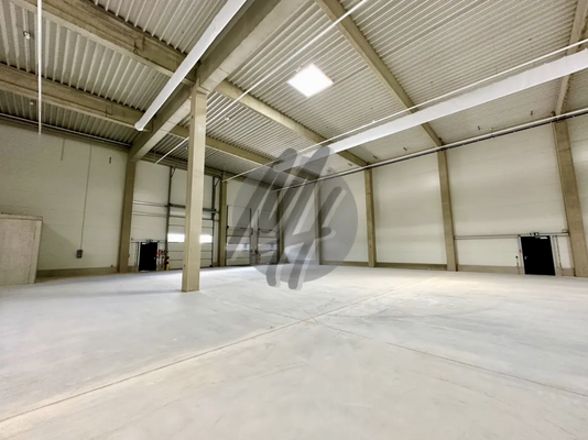 INFOS UNTER: 06171-586000