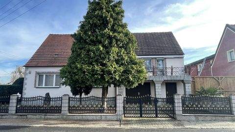 Lauta Häuser, Lauta Haus kaufen