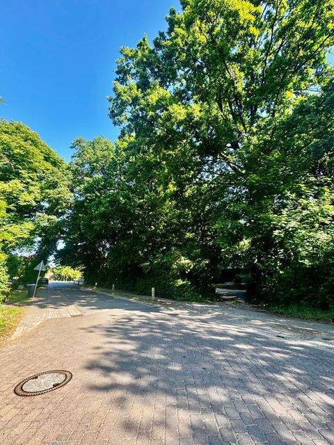 Barum Grundstücke, Barum Grundstück kaufen