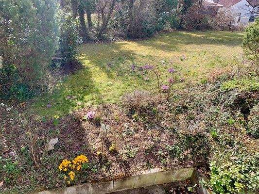 Frühlingsimpressionen