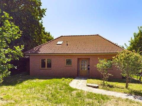Bosau Häuser, Bosau Haus kaufen