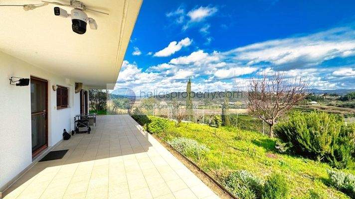 e0db031c809f4547ad1f3d0b6a8bd4e3-original