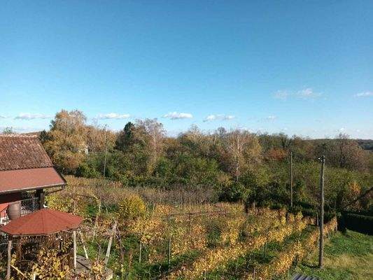 WhatsApp Image 2024-01-16 at 09.12.36 (1)