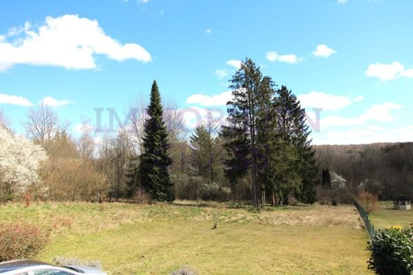 Blick in den Garten
