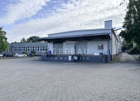 Wedel Halle, Wedel Hallenfläche