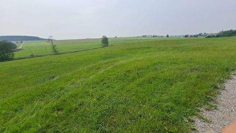 Eppishausen Bauernhöfe, Landwirtschaft, Eppishausen Forstwirtschaft