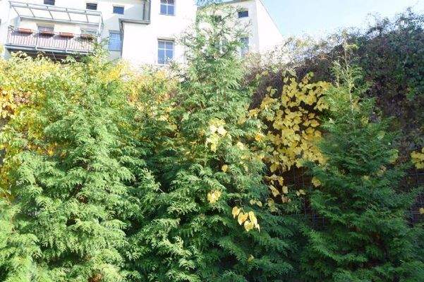 Hof  Muskauer im Herbst 