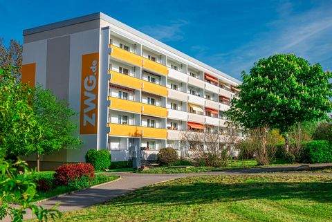 Zwickau Wohnungen, Zwickau Wohnung mieten