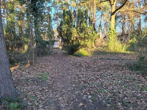 Blankenfelde-Mahlow Grundstücke, Blankenfelde-Mahlow Grundstück kaufen