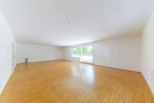 Wohnzimmer/Kochbereich 