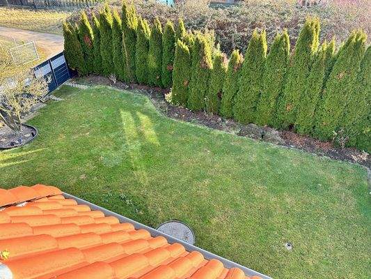 Garten und Grundstückszufahrt