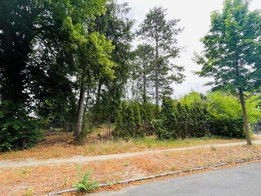 Blick von der Straße auf das Grundstück