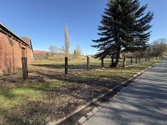 Ansicht südliches Grundstück Blickrichtung Süden